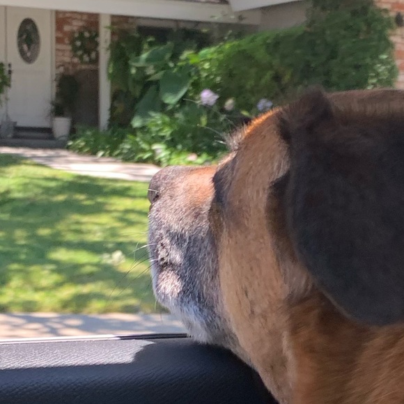 Meet your Posher, Andrew - Picture 1 of 1